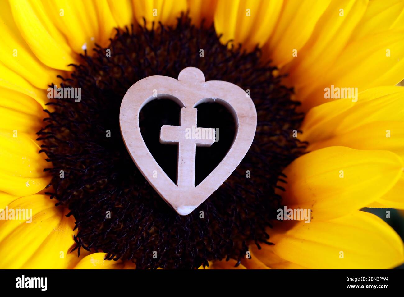 Christliches Symbol auf einer Blume platziert. Kreuz in ein Herz. Stockfoto