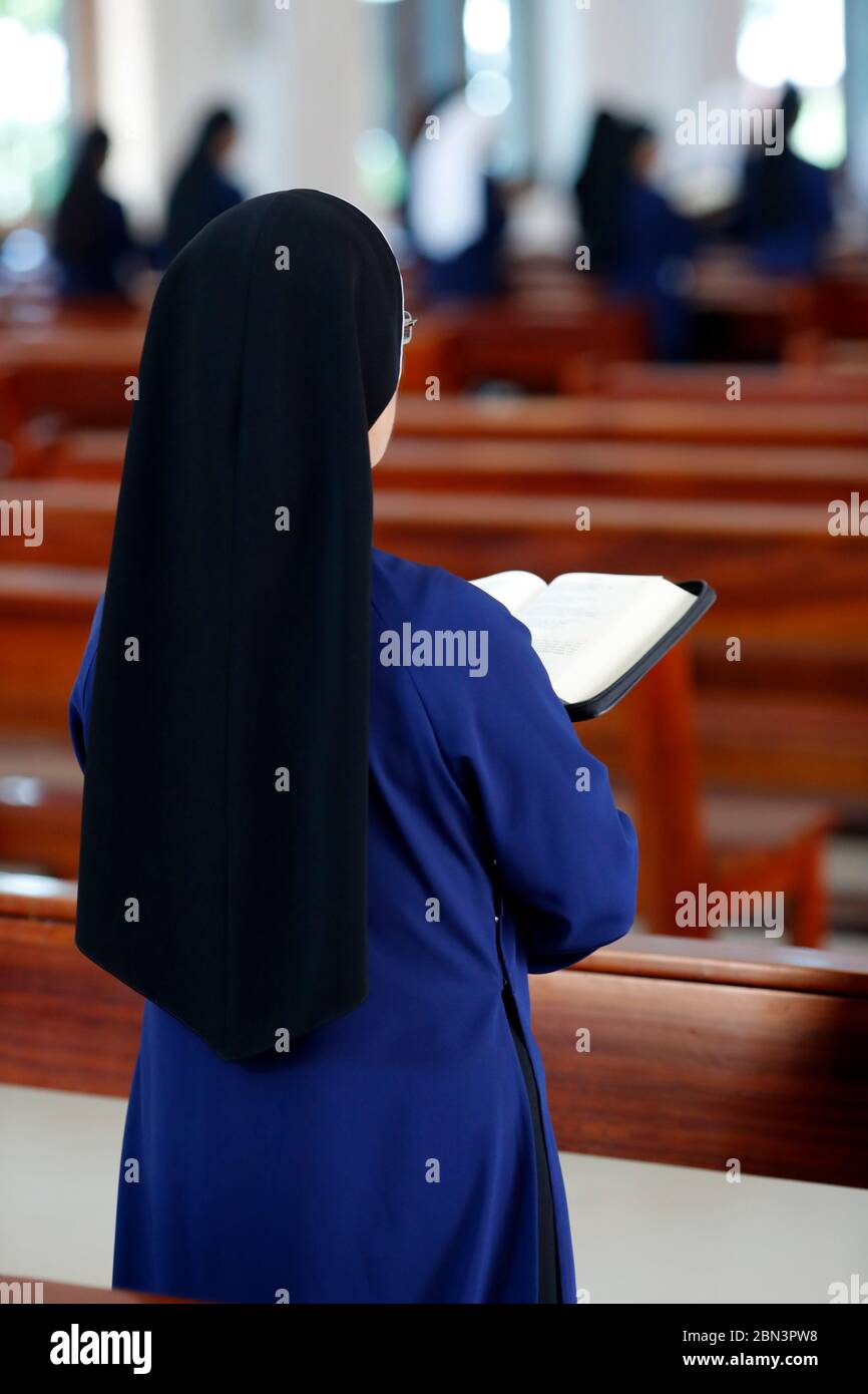 Dominikanische Nonne liest die bibel. Vietnam. Stockfoto