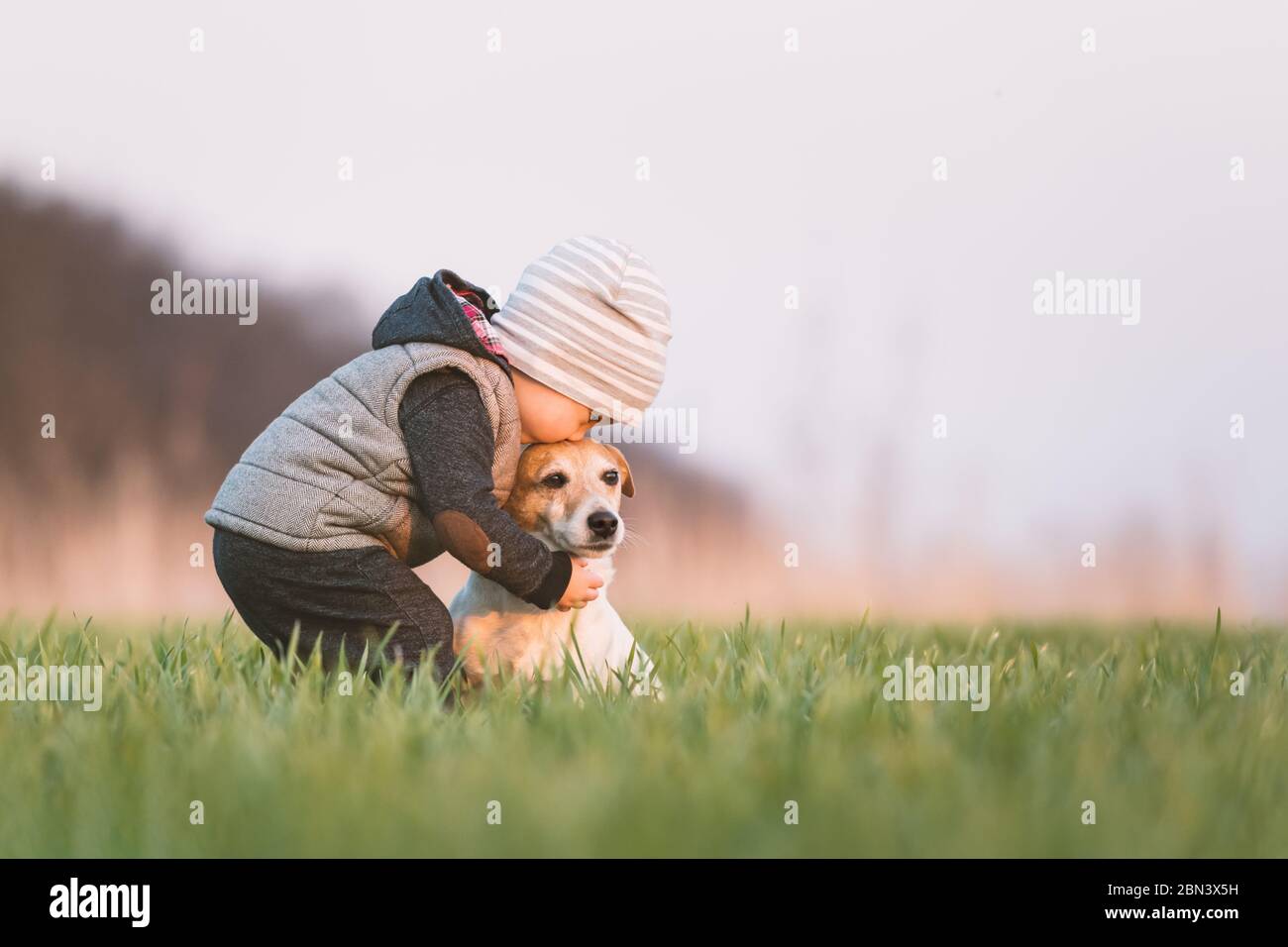 Kleines Kind in gelben Jacke mit Jack russel Terrier Welpen umarmen einander auf Frühlingsfeld bei Sonnenuntergang Zeit Stockfoto