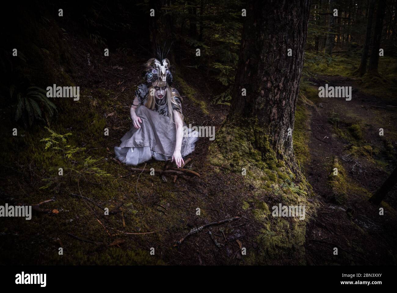 Trotz meiner Ängste verfolgte ich die Kreatur Nord, fasziniert von ihrer Geschichte und ihrer Zukunft... Stockfoto