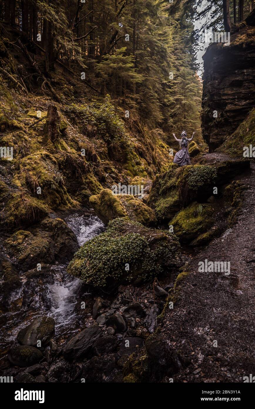 Trotz meiner Ängste verfolgte ich die Kreatur Nord, fasziniert von ihrer Geschichte und ihrer Zukunft... Stockfoto