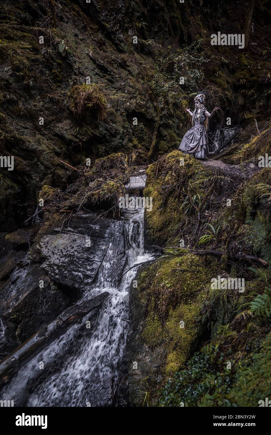Trotz meiner Ängste verfolgte ich die Kreatur Nord, fasziniert von ihrer Geschichte und ihrer Zukunft... Stockfoto
