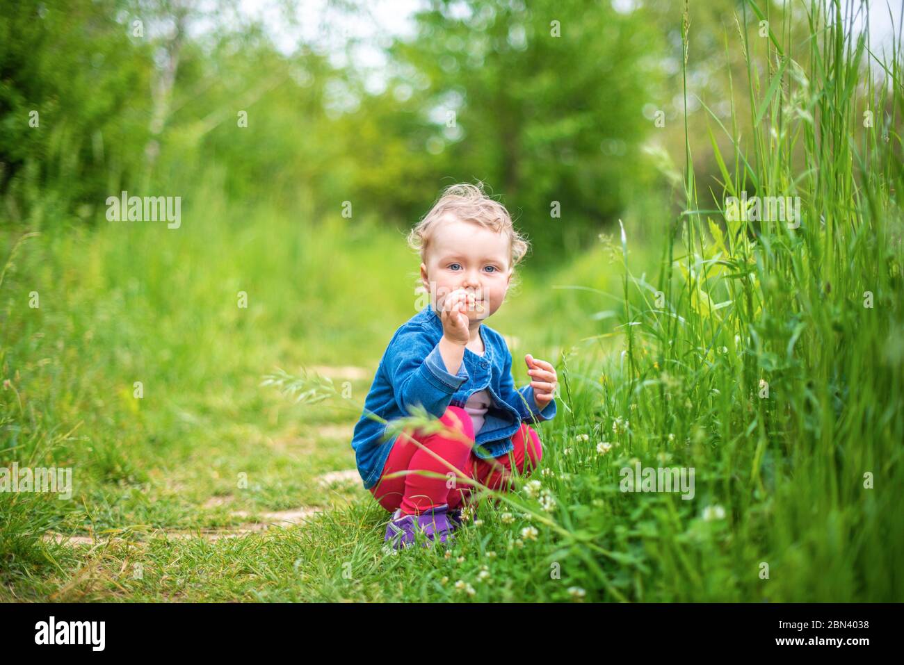 Kleines Mädchen spielt auf der Natur vor dem Hintergrund der grünen. Stockfoto