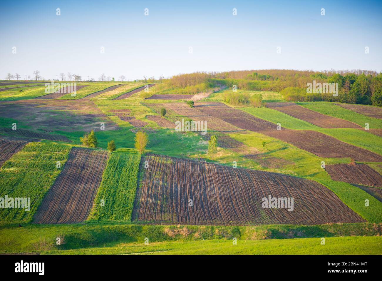 Blick auf die Felder und landwirtschaftliche Parzelle. Landwirtschaftliche Grundstücke. Stockfoto