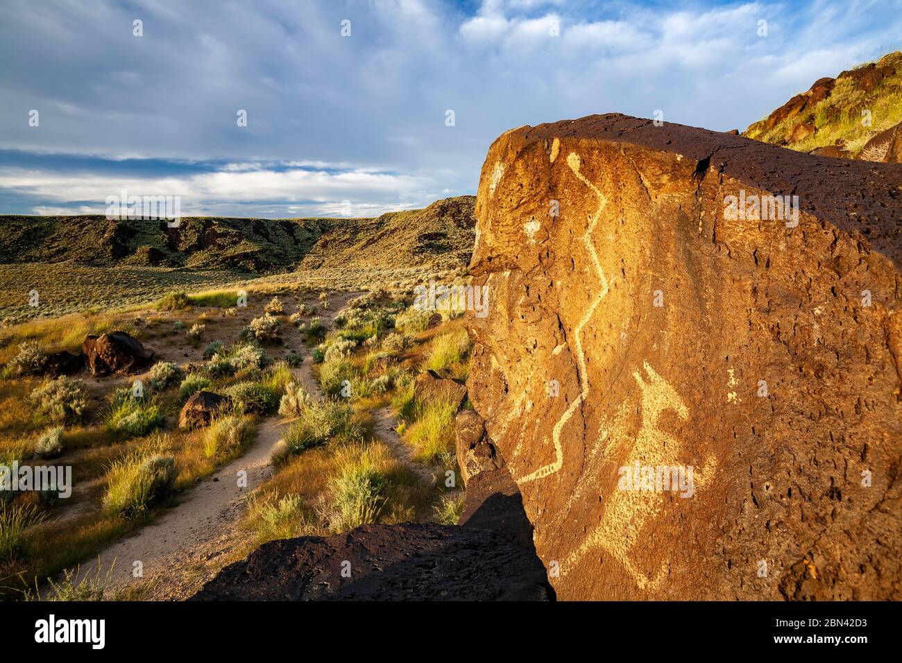 Petroglyphen in Rinconada Canyon, Petroglyph National Monument, Albuquerque, New Mexico, USA Stockfoto