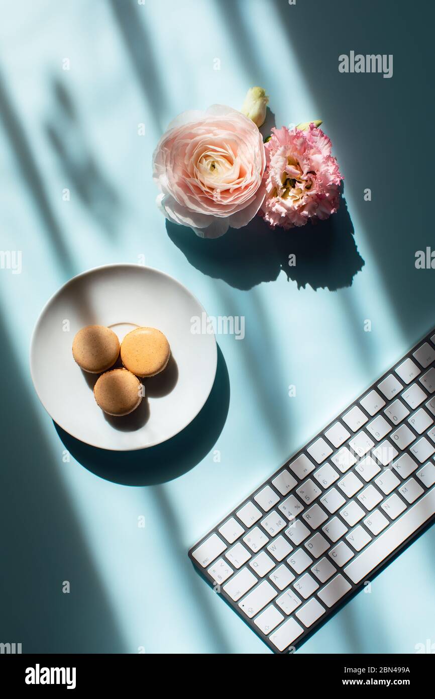 Arbeitsplatz zu Hause am Fenster. Flache, flache Makronen im Sonnenlicht, Blumen und Tastatur. Stockfoto