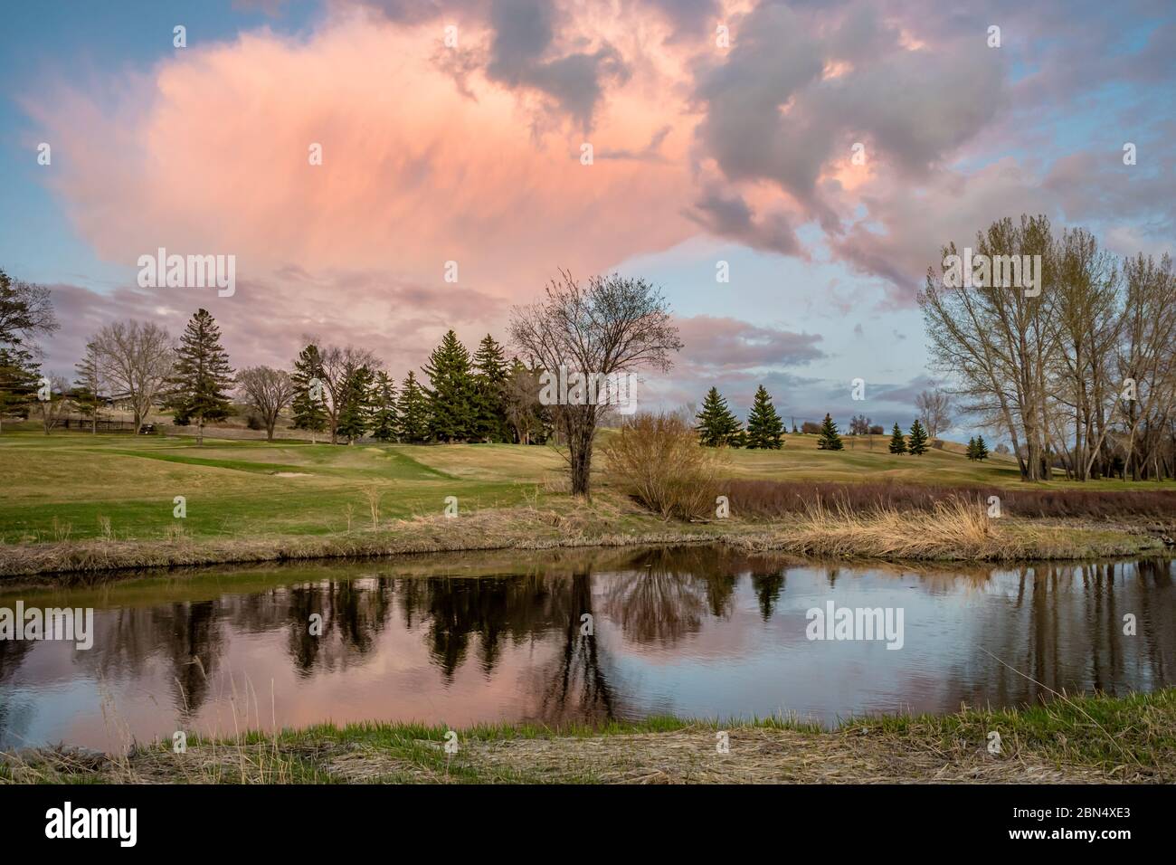 Die rosafarbene Sonnenuntergangswolke über dem Swift Current Creek auf einem Golfplatz in Swift Current, SK, Kanada Stockfoto