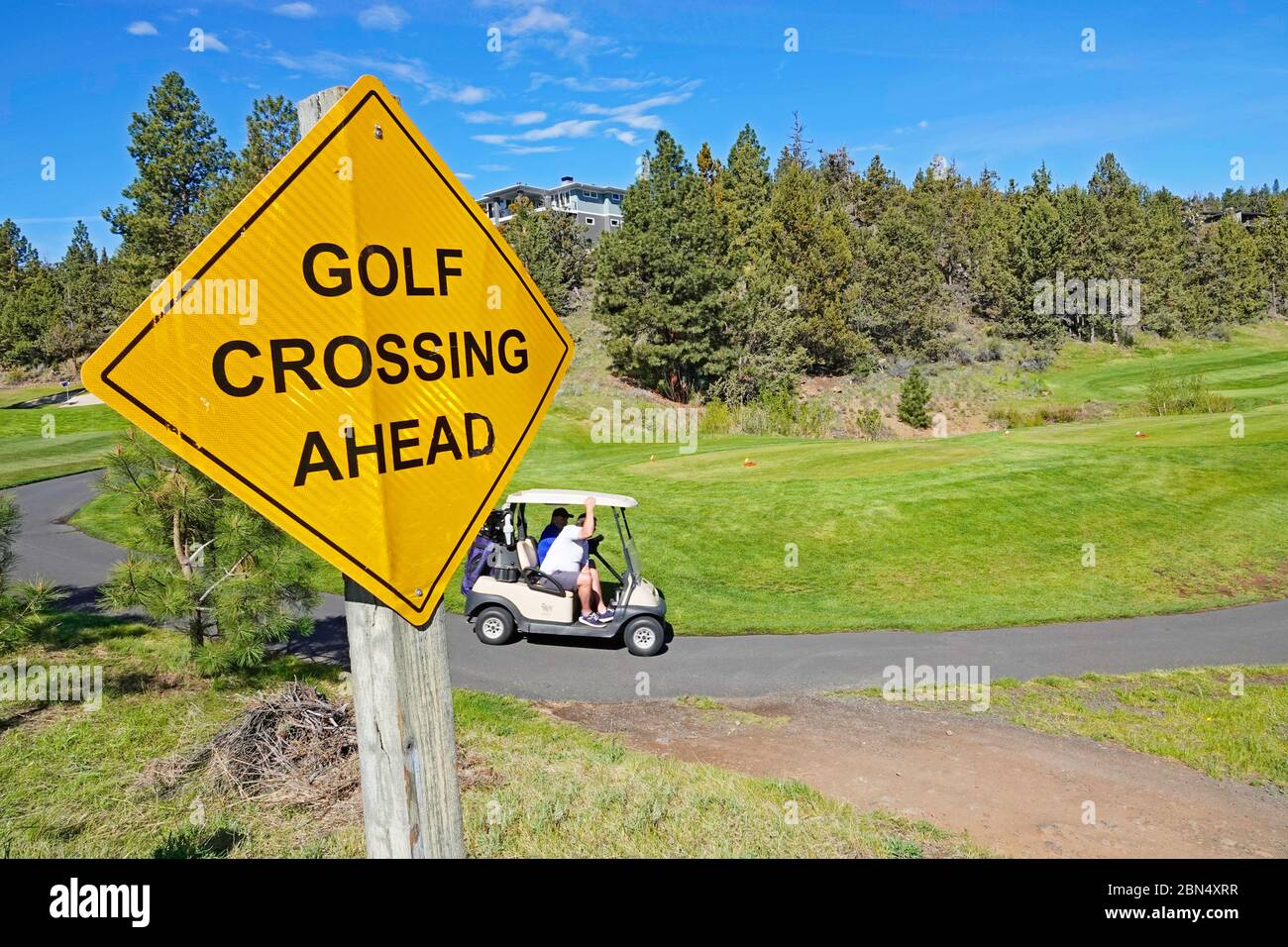 Golfer in einem batteriebetriebenen Golfwagen gehen von Loch zu Loch auf einem Golfplatz in Bend, Oregon. Stockfoto