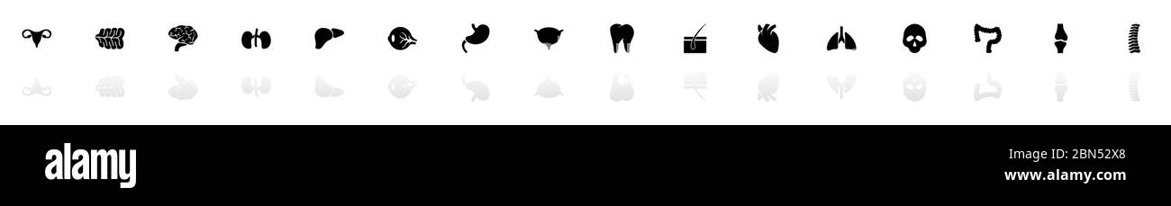 Orgeln Icons - Schwarz horizontale Illustration Symbol auf weißem Hintergrund mit einem Spiegel Schatten Reflexion. Flacher Vektor. Stock Vektor