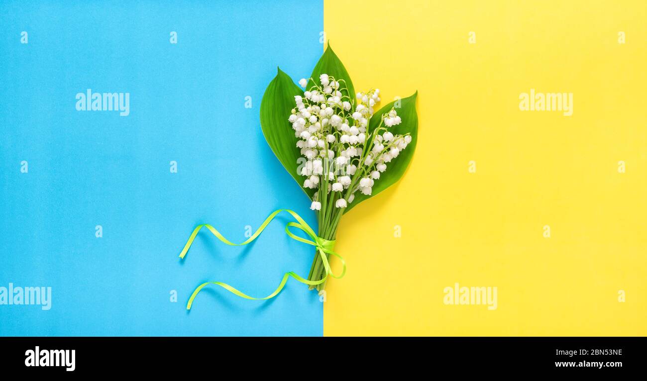Maiglöckchen blüht auf gelbblauem Hintergrund. Flaches Blumenmuster Stockfoto