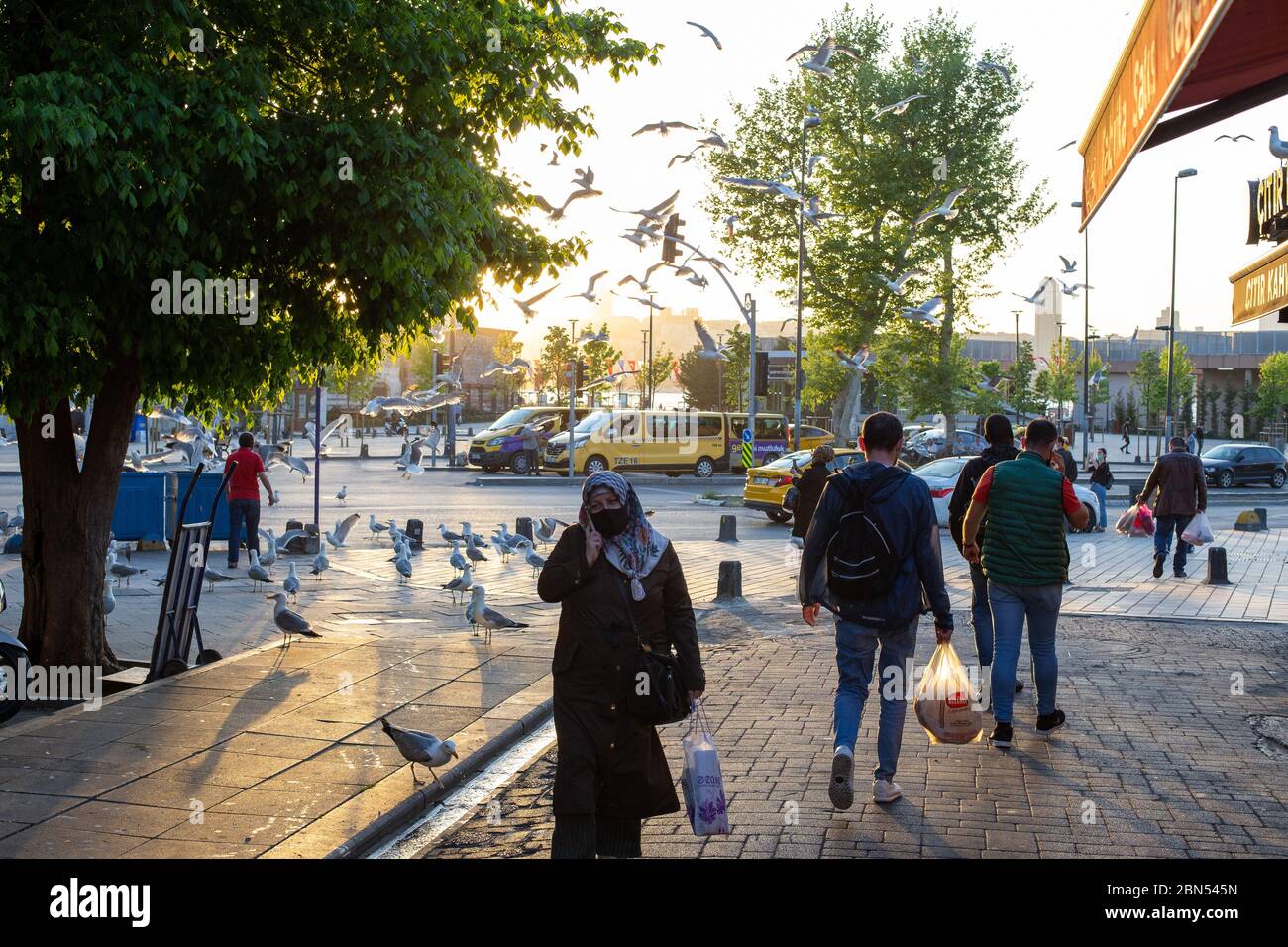 Die Stammgäste des Uskudar Fischmarktes an den Coronavirus Tagen sind Möwen. Möwen ohne soziale Distanz zwischen ihnen ernähren sich vorher von Fischfetzen. Stockfoto