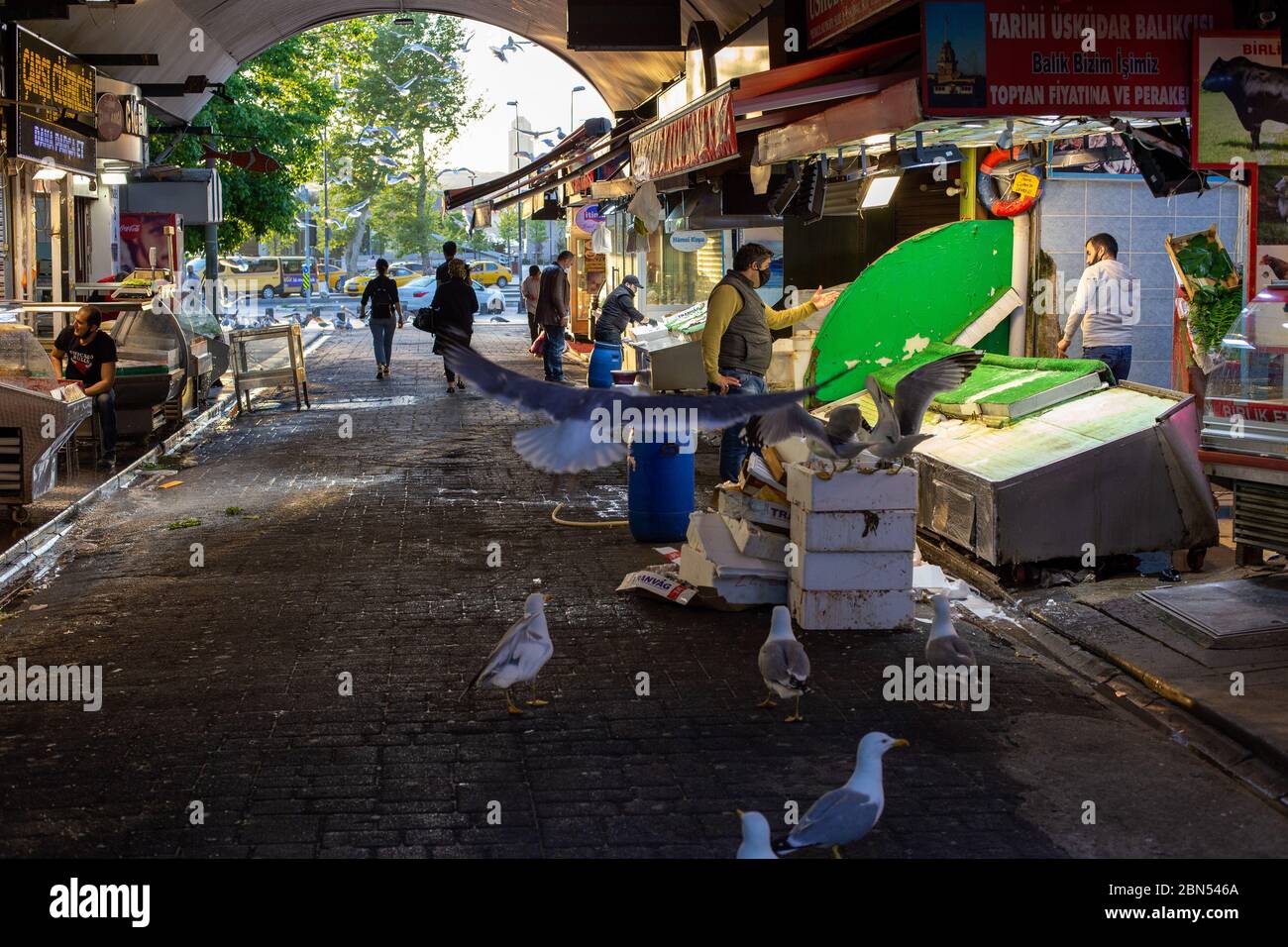 Die Stammgäste des Uskudar Fischmarktes an den Coronavirus Tagen sind Möwen. Möwen ohne soziale Distanz zwischen ihnen ernähren sich vorher von Fischfetzen. Stockfoto