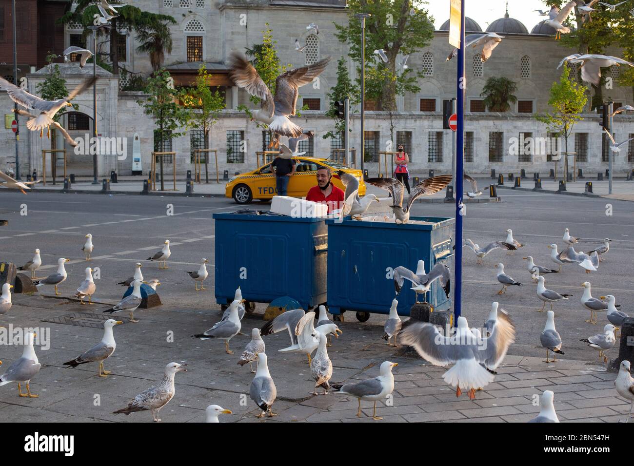 Die Stammgäste des Uskudar Fischmarktes an den Coronavirus Tagen sind Möwen. Möwen ohne soziale Distanz zwischen ihnen ernähren sich vorher von Fischfetzen. Stockfoto