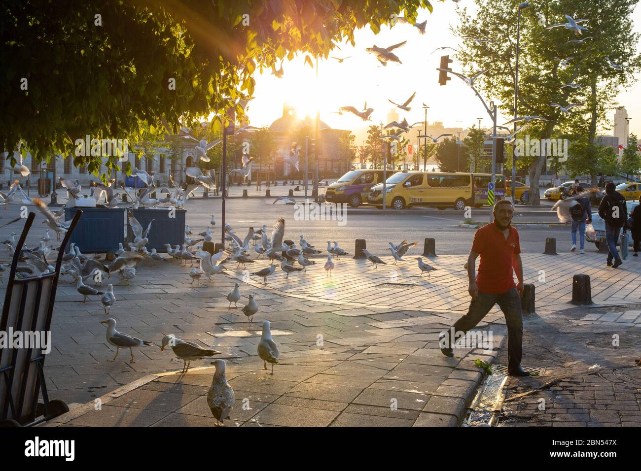 Die Stammgäste des Uskudar Fischmarktes an den Coronavirus Tagen sind Möwen. Möwen ohne soziale Distanz zwischen ihnen ernähren sich vorher von Fischfetzen. Stockfoto