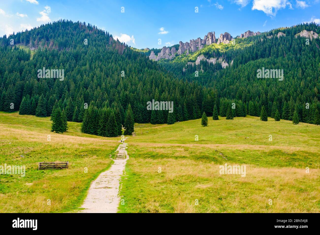 Tatra, Chochołowska-Tal, Sommertag Stockfoto