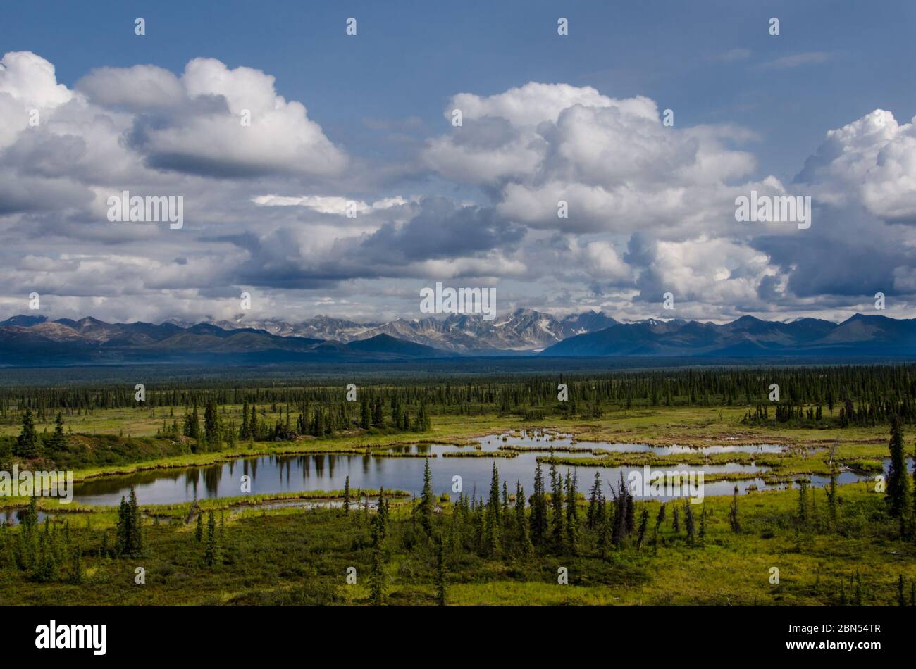 Ein Blick von Alaska auf Mount Deborah und Mount Hess vom Denali Highway, Alaska, USA Stockfoto