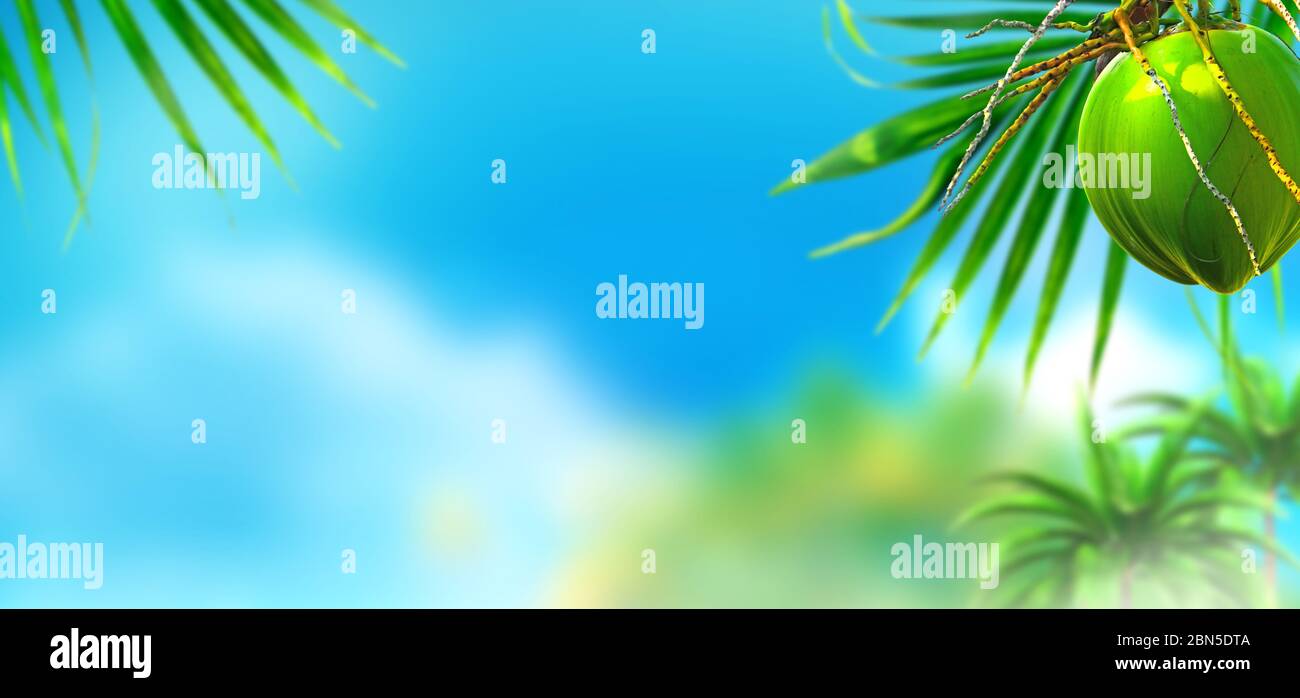 Tropisches Inselparadies mit Kokospalmen Stockfoto