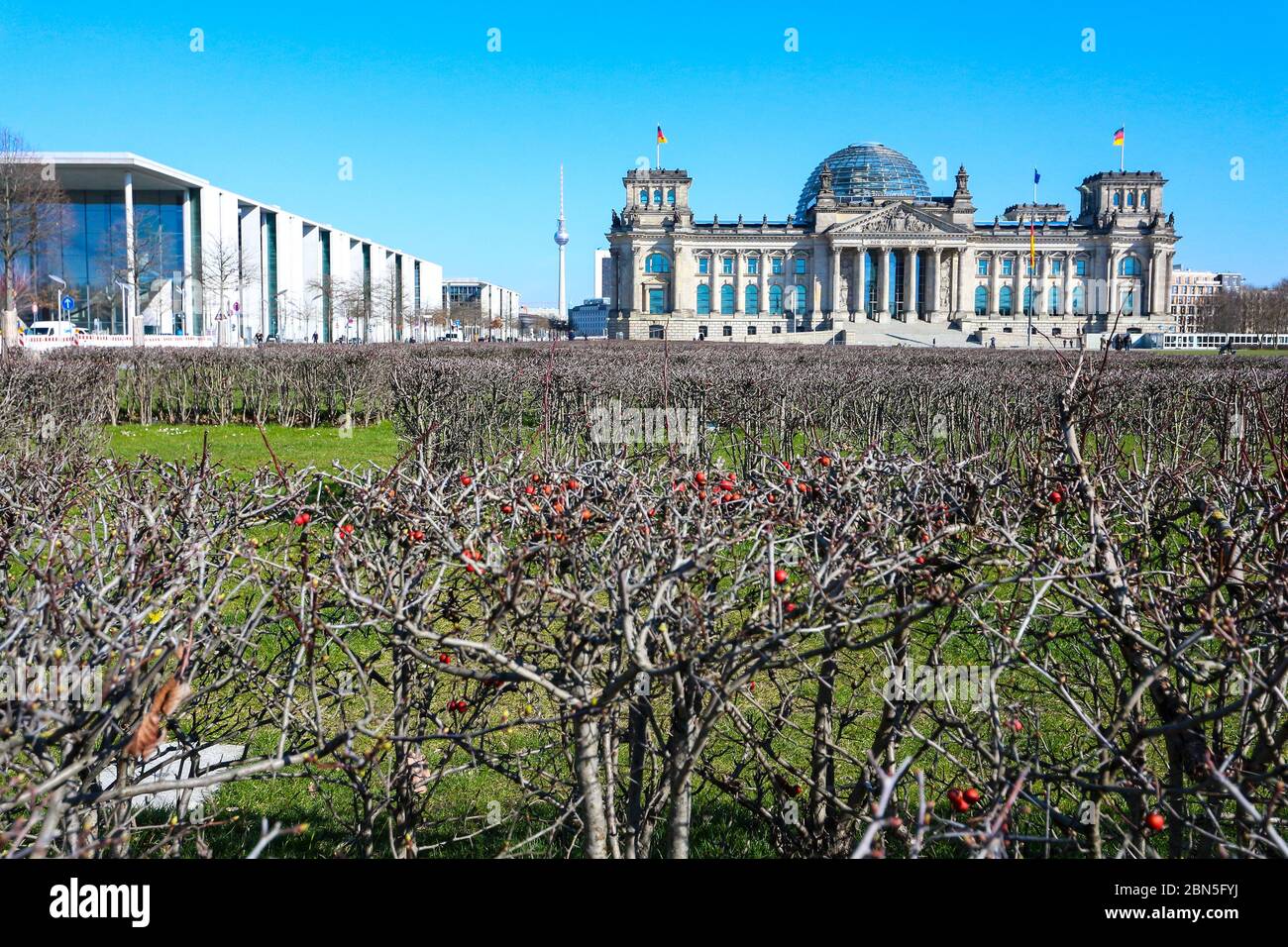 Das Reichstagsgebäude ist während der Stilllegung des Coronavirus in Deutschland fast menschenleer. Stockfoto