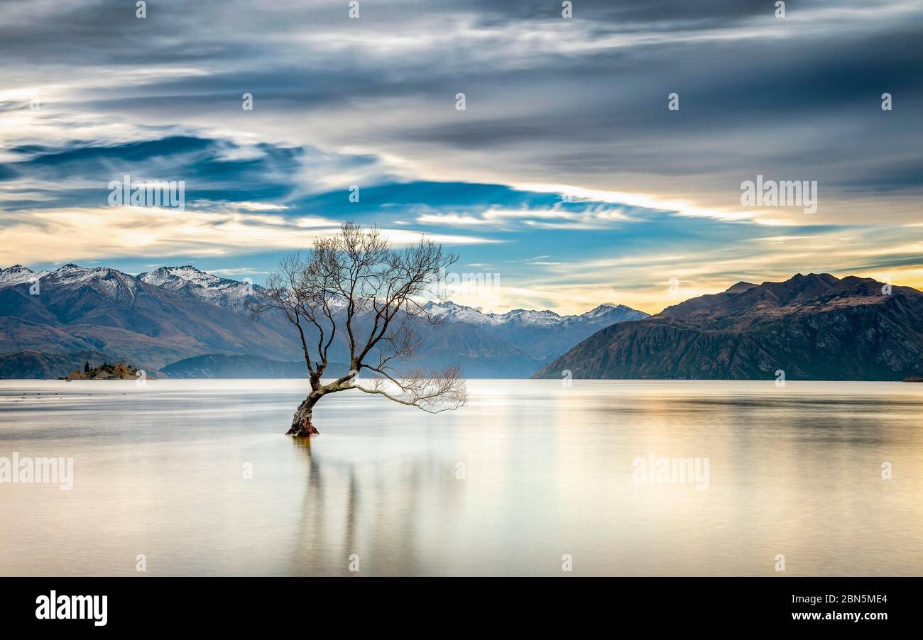 Wanaka Baum, ein einzelner Baum, der im Wasser des Wanaka Sees steht, im hinteren Bergmassiv der schneebedeckten neuseeländischen Alpen, Wanaka, Otago, Süd Stockfoto Wanaka Baum, ein einzelner Baum, der im Wasser des Wanaka Sees steht, im hinteren Bergmassiv der schneebedeckten neuseeländischen Alpen, Wanaka, Otago, Süd Stockfoto
