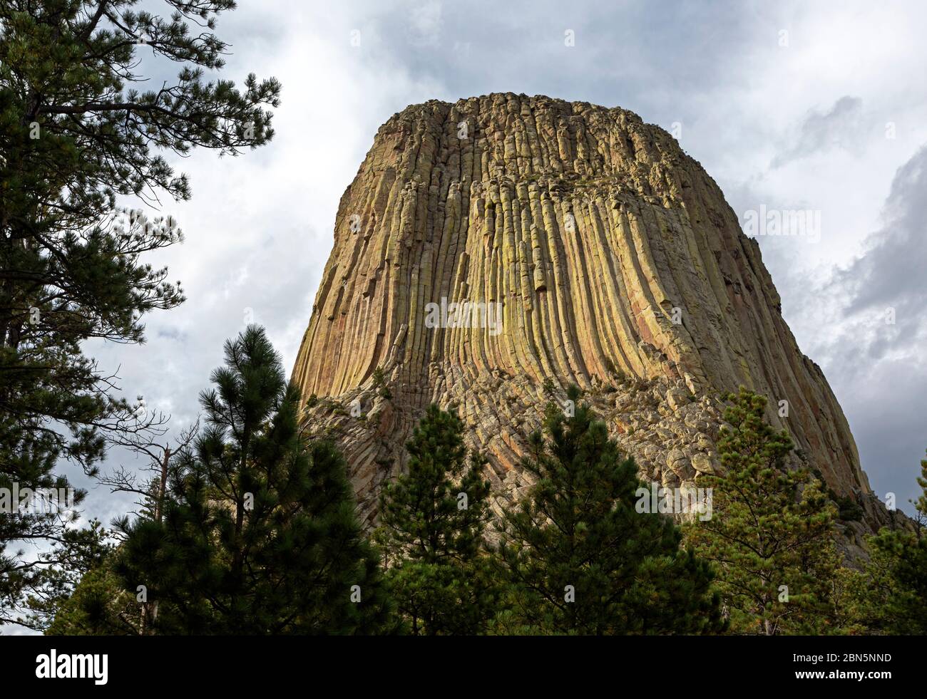 WY04250-00...WYOMING - Devil's Tower vom Tower Trail im Devil's Tower National Monument. Stockfoto