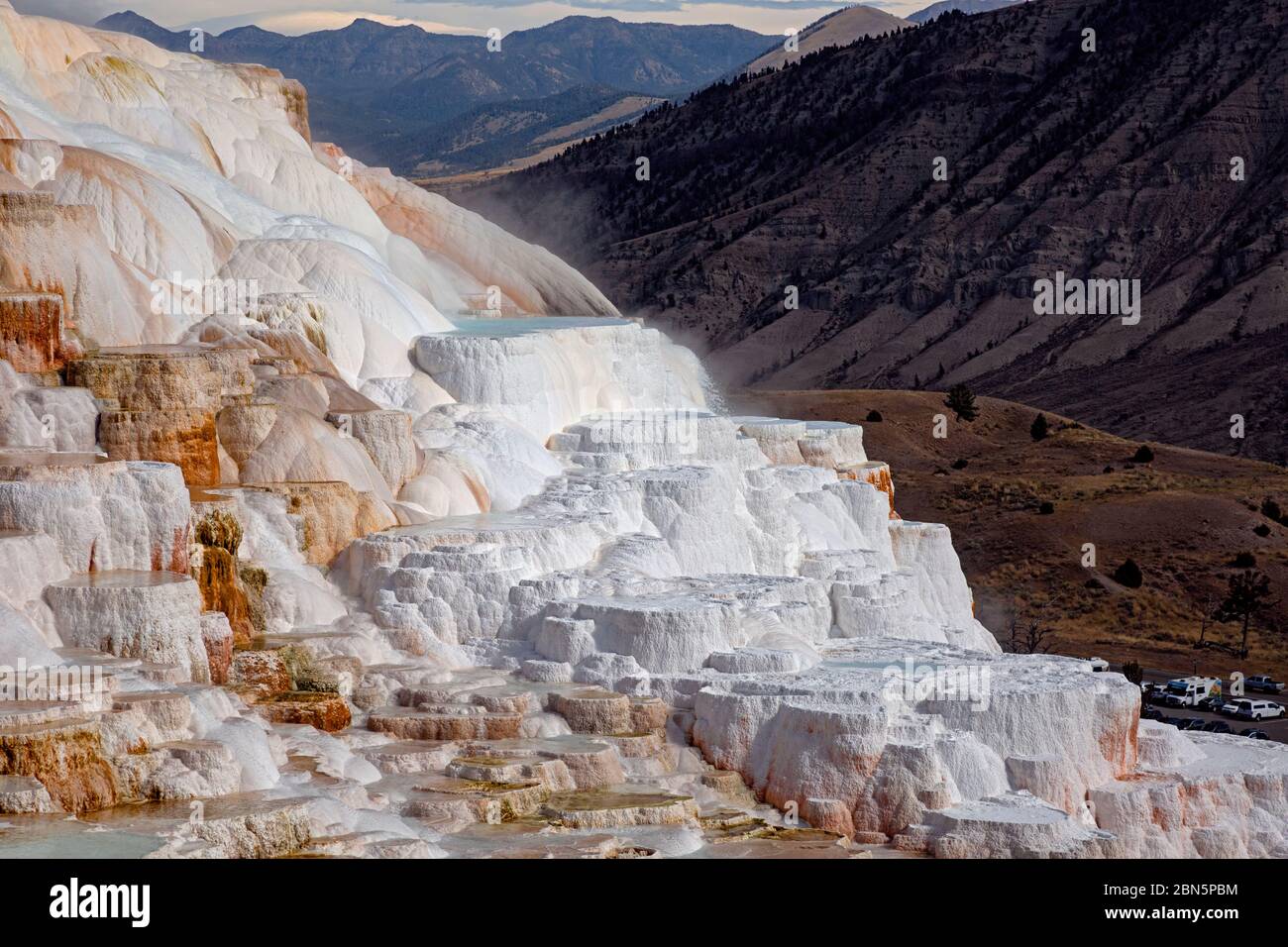 WY04269-00...WYOMING - farbenfrohe Canary Springs auf den oberen Terrassen von Mammoth Hot Springs im Yellowstone Nationalpark. Stockfoto