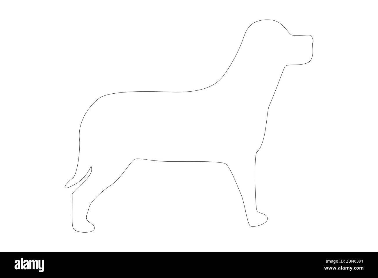 Silhouette des Hundes auf weißem Hintergrund Stockfoto