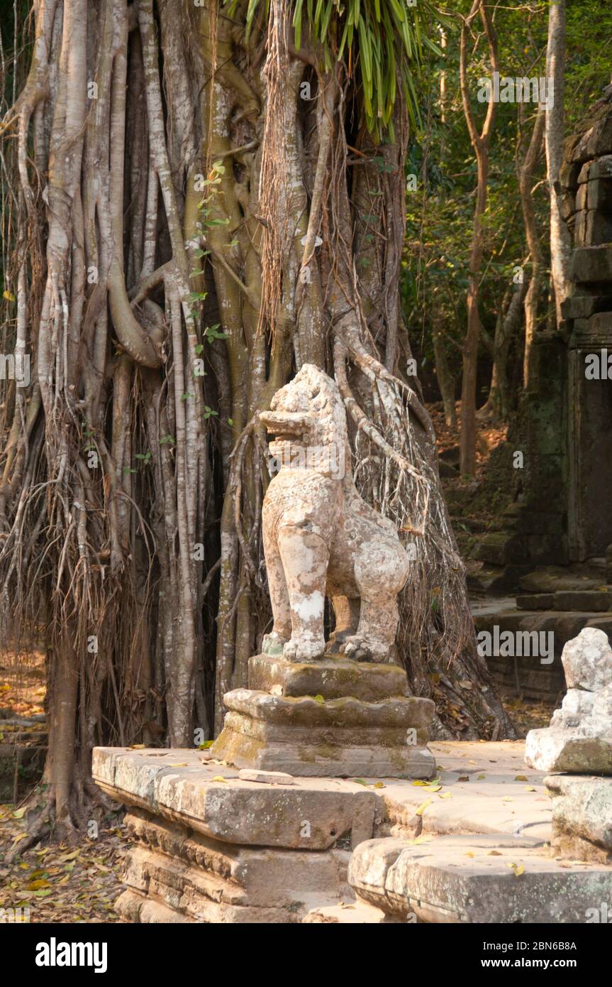 Kambodscha: Ein singha oder mythischer Löwe bewacht den östlichen Eingang von Preah Khan, Angkor. Preah Khan (Tempel des Heiligen Schwertes) wurde in den späten gebaut Stockfoto