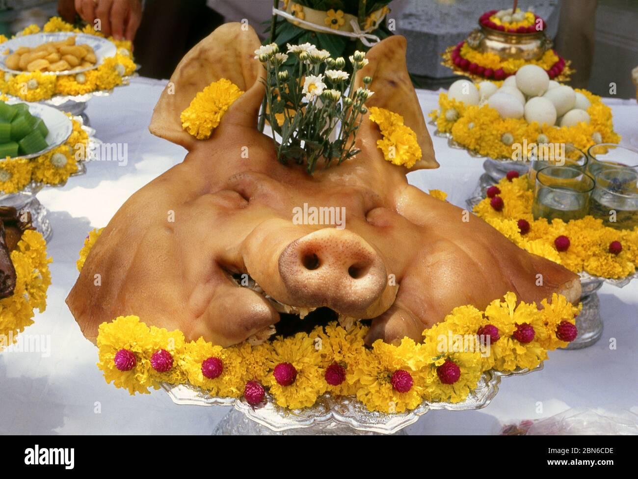 Thailand: Ein Schweinkopf, der in einer Segenszeremonie in Bangkok verwendet wird. Schweineköpfe werden oft in thailändischen Segenszeremonien verwendet, wie zum Beispiel bei einem neuen Geschäftsvorhaben Stockfoto
