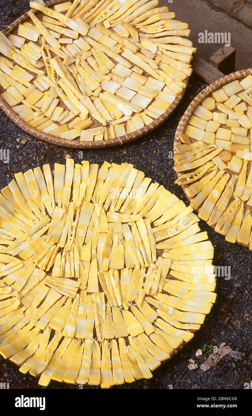 Vietnam: Streifen von Bambussprossen, die in der Sonne trocknen, Dorf Ban Don, Provinz Dak Lak, Central Highlands. Sogar im späten zwanzigsten Jahrhundert, die Verwendung Stockfoto