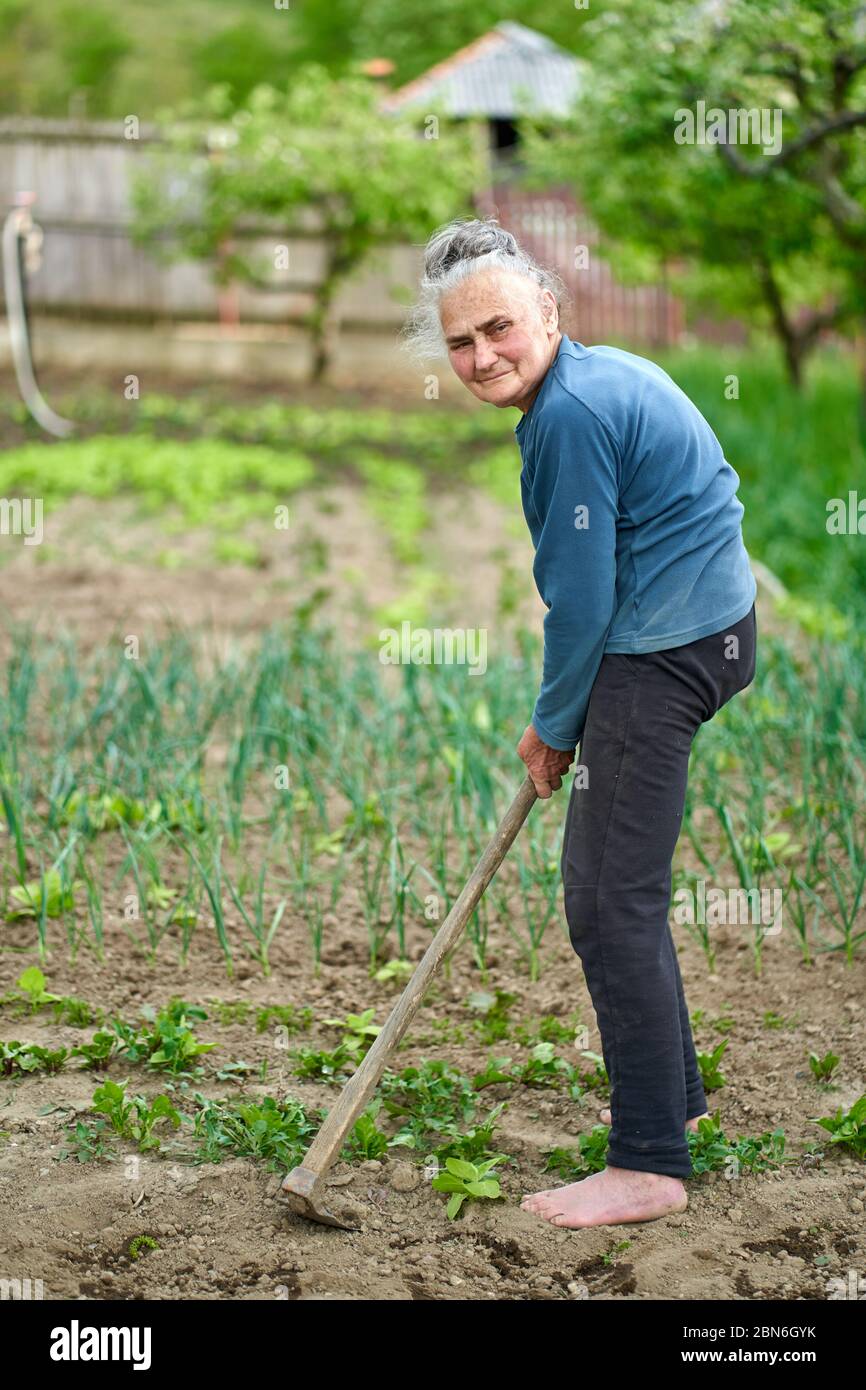 Alte Bäuerin mit Hacke in ihrem Garten Stockfoto