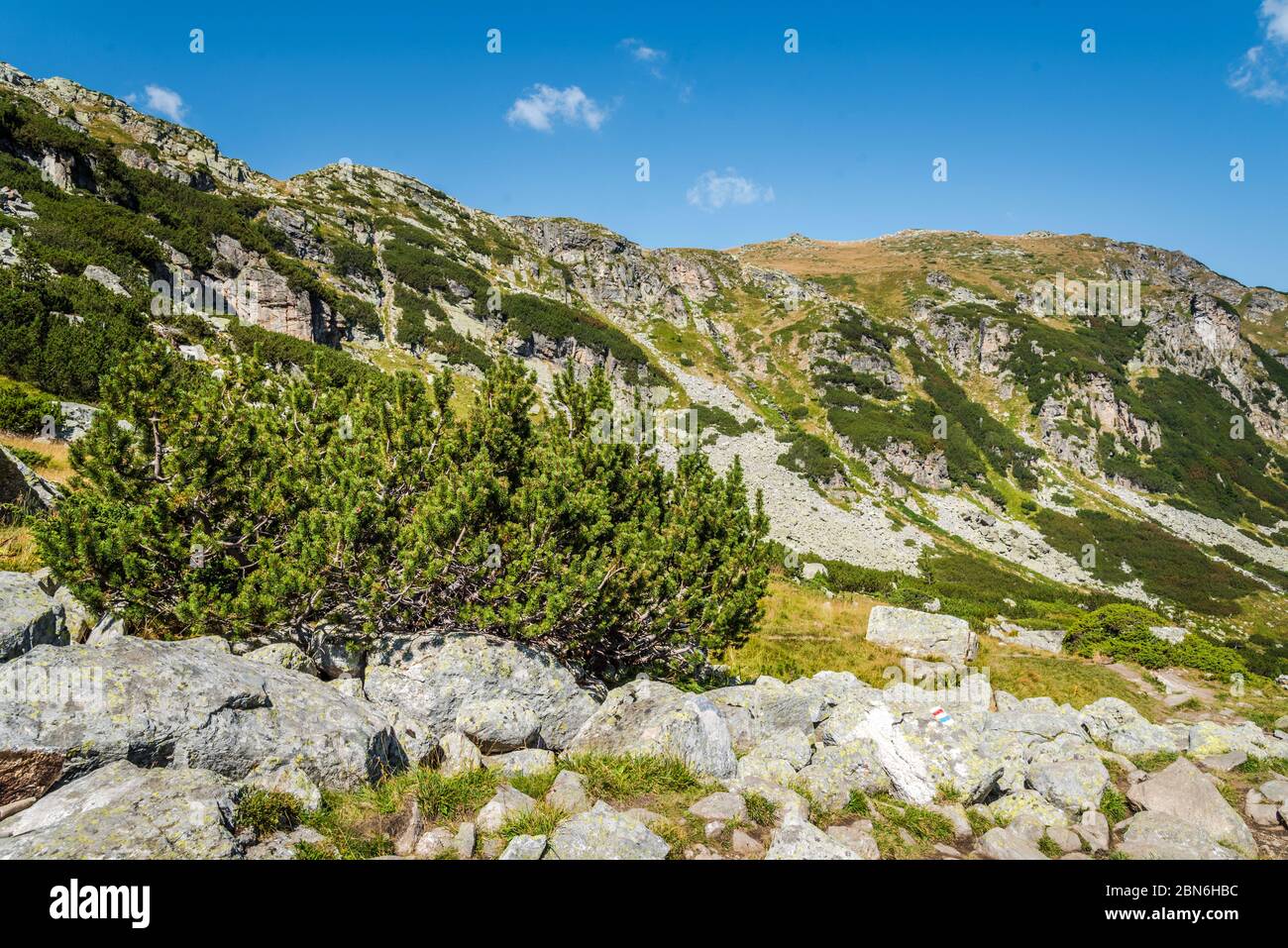 Schöne Berglandschaft an einem sonnigen Sommertag. Rila Berg, Bulgarien. Wander-/Trekkingkonzept. Stockfoto