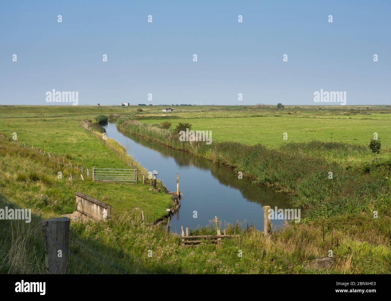 Flache Pfannkuchen-Landschaft rund um Husum Schleswig-Holstein, Deutschland, Küstenlandwirtschaft und Schutzgebiet Stockfoto