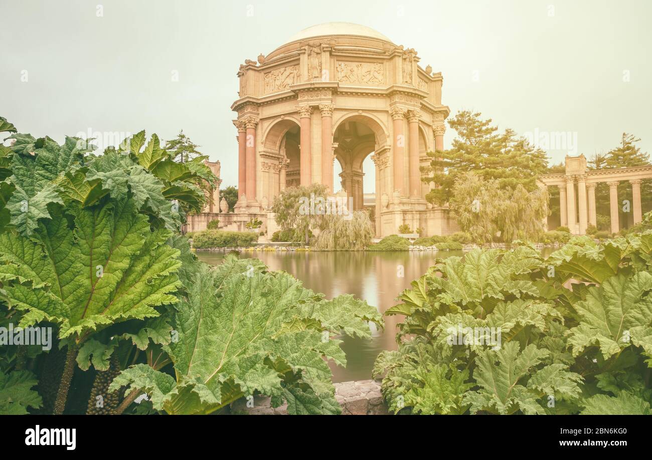 Malerischer Blick auf den Palace of Fine Arts mit der riesigen Rhabarberpflanze Gunnera Manicata im Vordergrund, San Francisco, Kalifornien, USA. Stockfoto