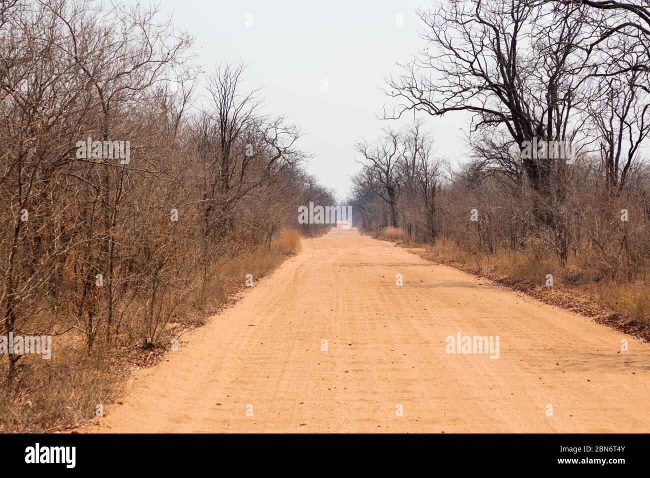 Gerade unbefestigte Straße im Mana Pools National Park, Simbabwe Stockfoto