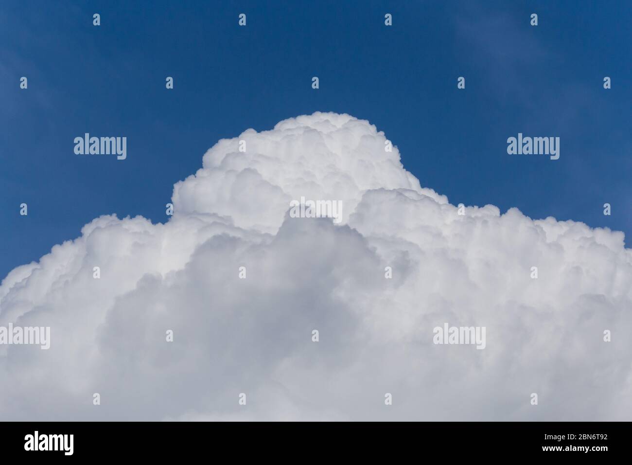 Nahaufnahme der Spitze der Cumuluswolke in einem blauen Himmel Stockfoto