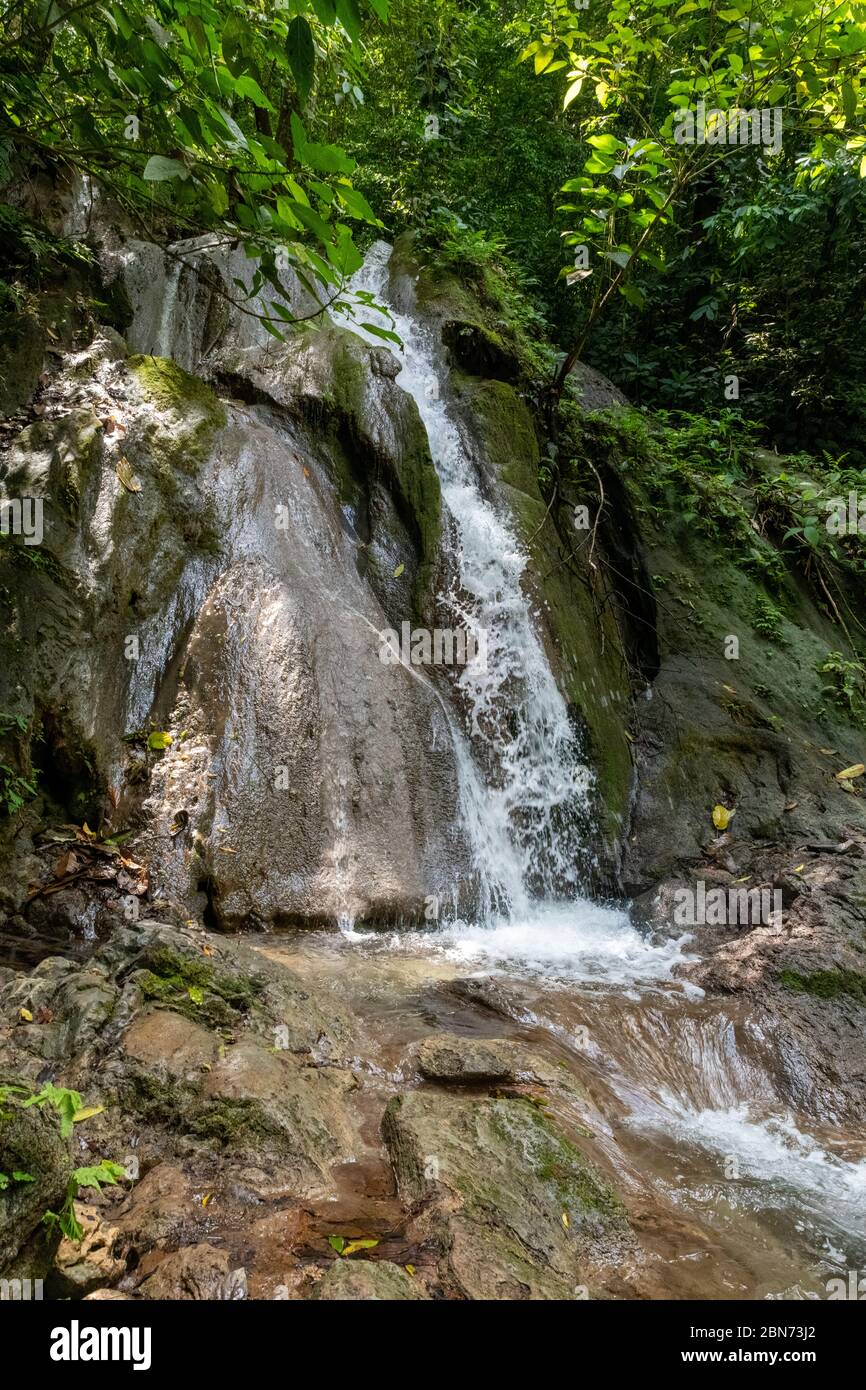 Regenwald-Strom am Fuße des Tals, Costa Rica Stockfoto
