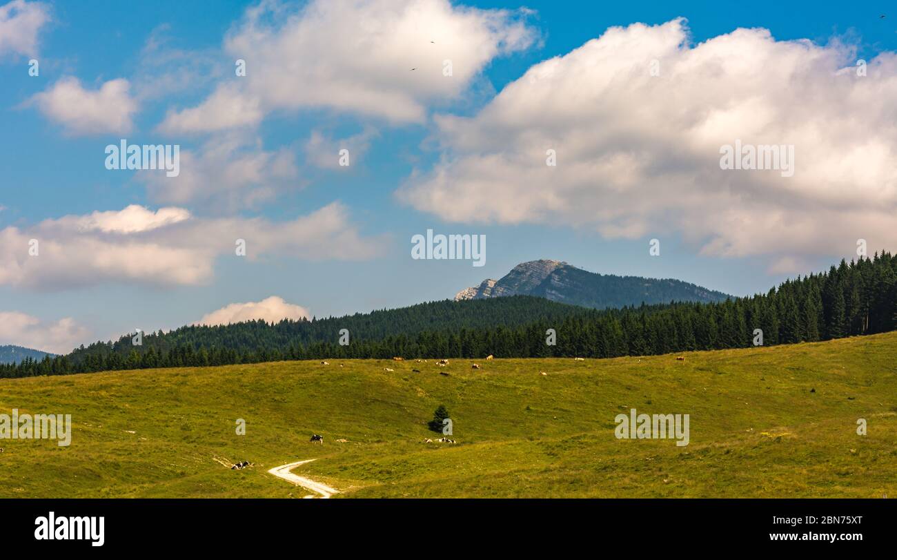 Die Sommerlandschaft von Vezzena passiert die Provinz Trient, Trentino-Südtirol, Italien, Europa. Stockfoto