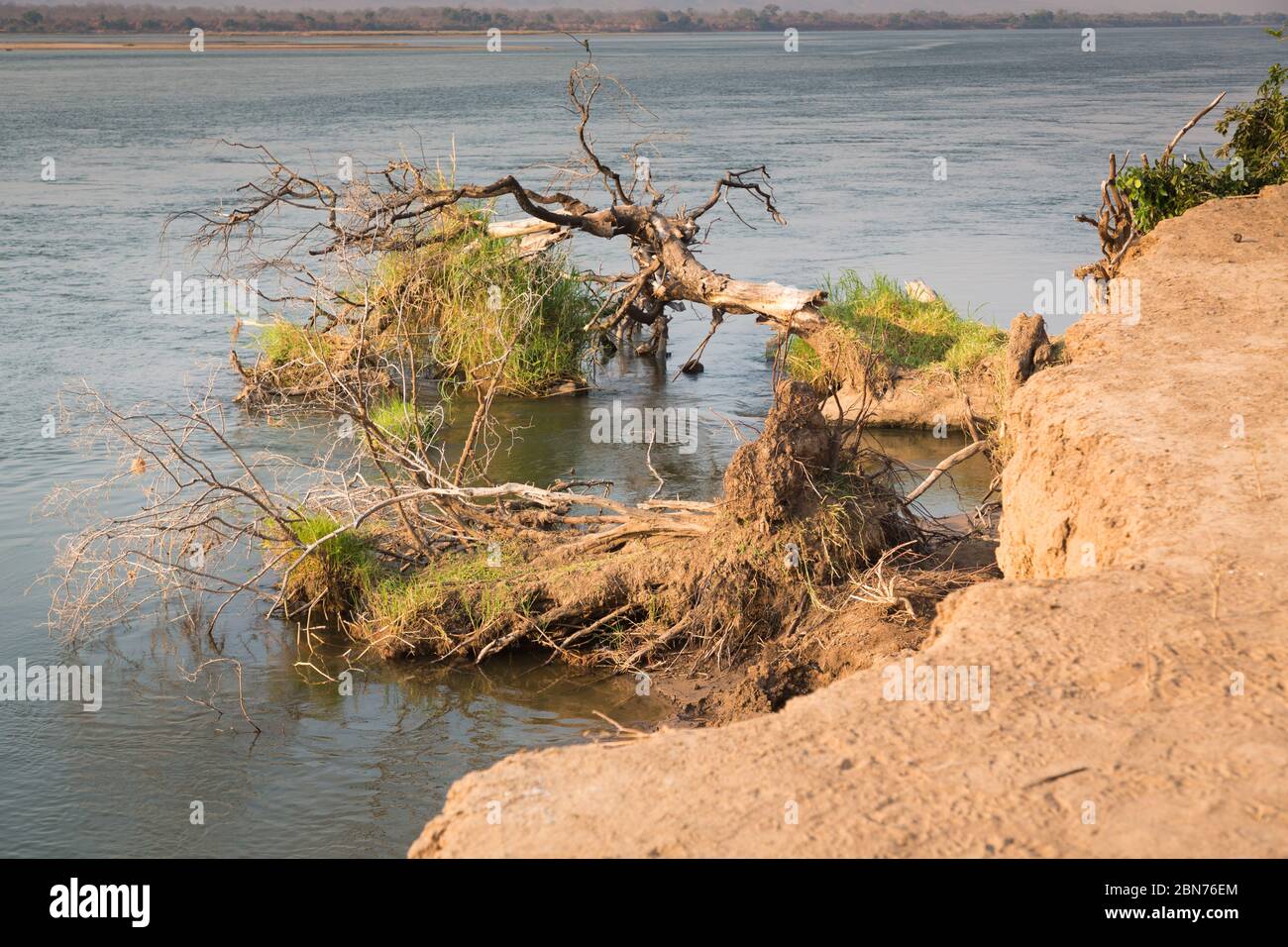 Mana Pools Nationalpark, Simbabwe Stockfoto