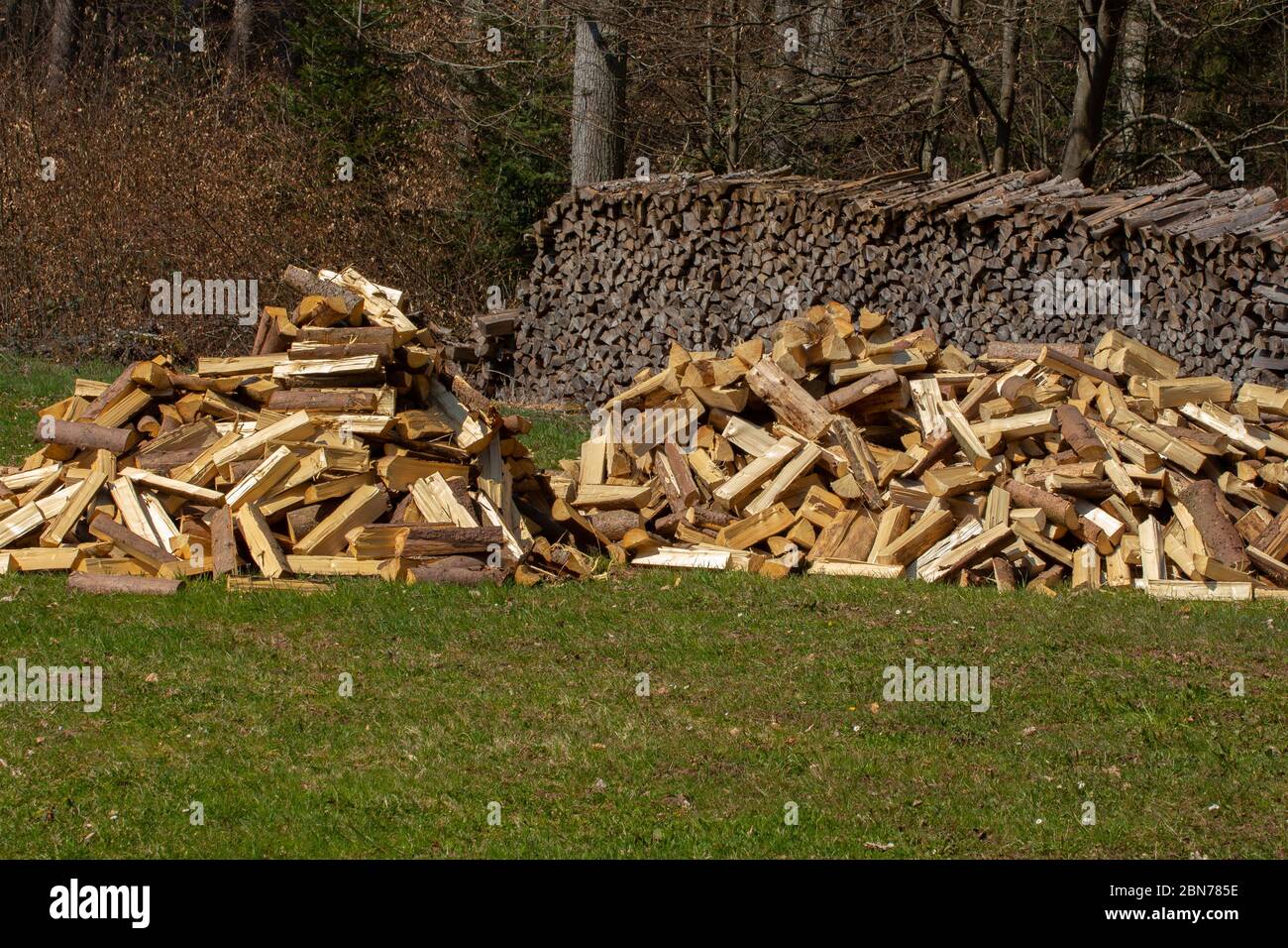 Brennholzhaufen auf einem Haufen im Gras und altes gestapeltes Brennholz und Wald im Hintergrund Stockfoto