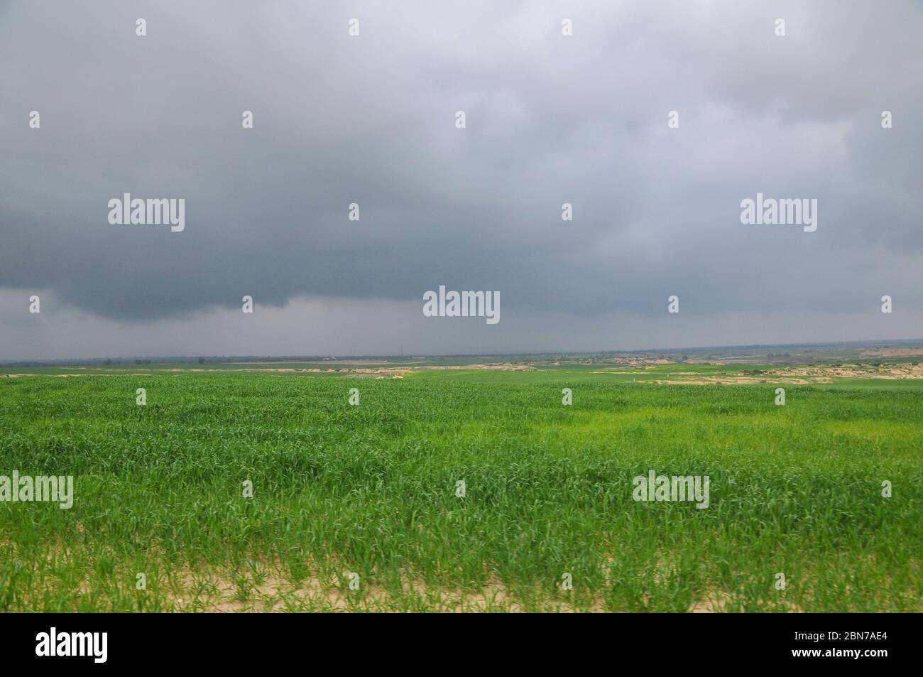 Ein Flugzeug sprüht Insektizid über ein Feld. Fotografiert in der Wüste Nördlicher Negev, Israel Stockfoto