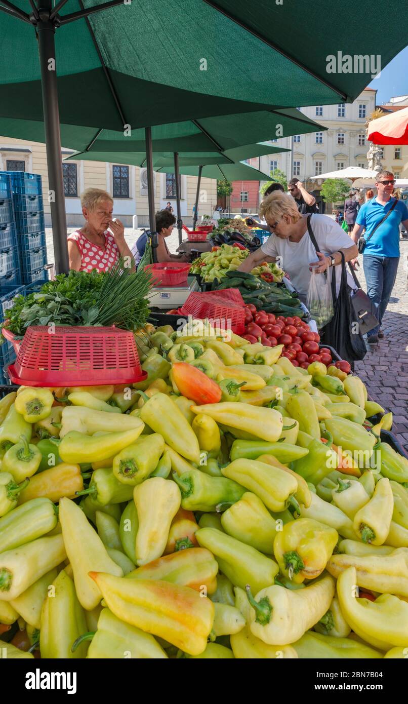 Open-Air-Markt am Zelny trh (Kohlmarkt) in Brünn, Mähren, Tschechische Republik, Mitteleuropa Stockfoto