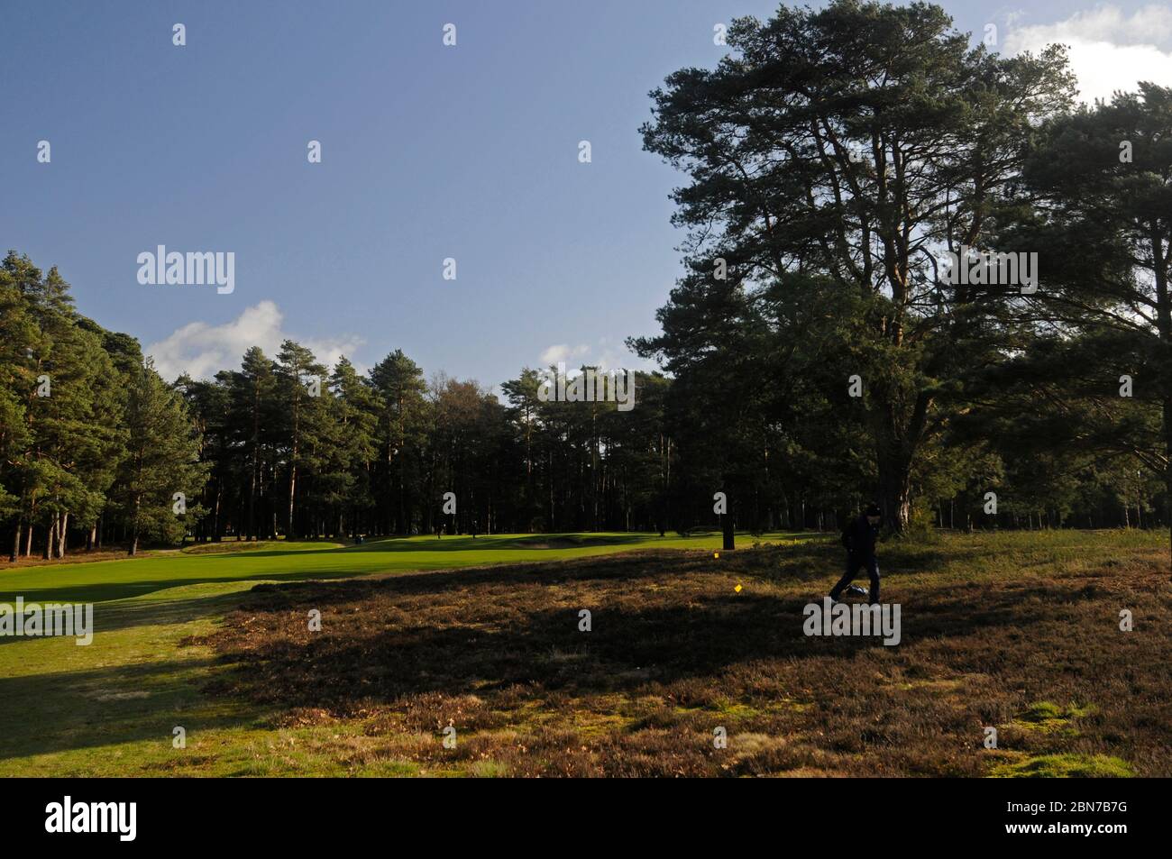 Blick über Heidegebiet bis 11th Green, Woking Golf Club, Woking, Surrey, England Stockfoto