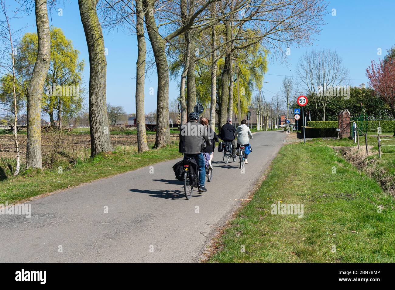 Sint Gillis Waas, 5. April 2020, vier Radfahrer fahren in der Frühlingssonne auf einer Landstraße mitten im Grünen Stockfoto