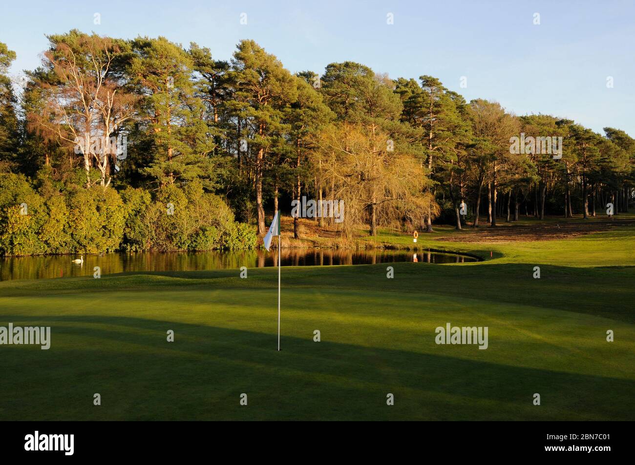 Blick über 18th Green auf Teich und Fairway, Woking Golf Club, Woking, Surrey, England Stockfoto