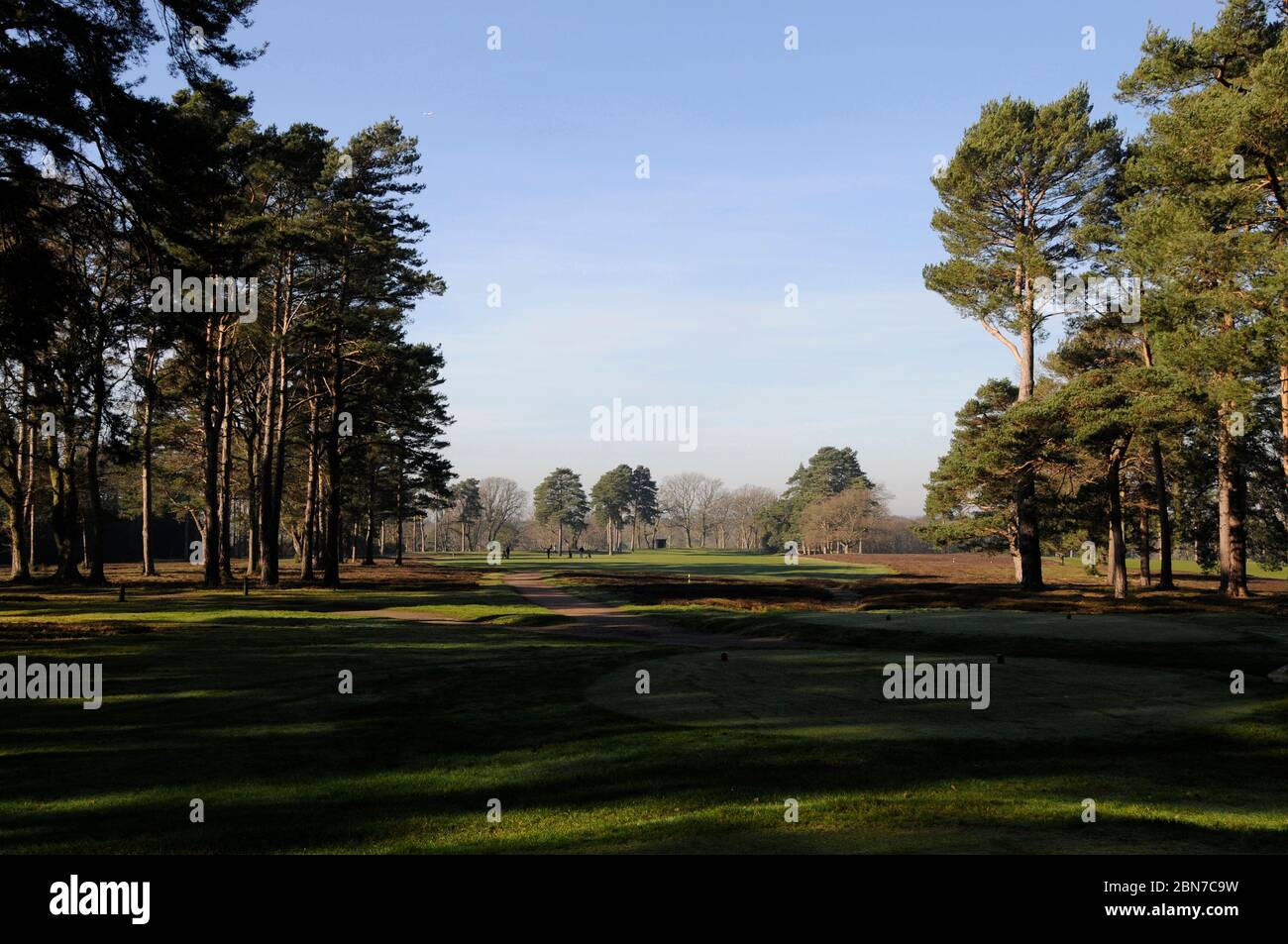 Blick vom T-Stück des 12. Lochs auf Fairway, Woking Golf Club, Woking, Surrey, England Stockfoto