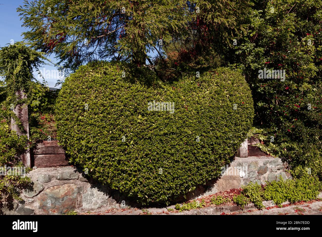 Herz garten Fotos und Bildmaterial in hoher Auflösung Alamy