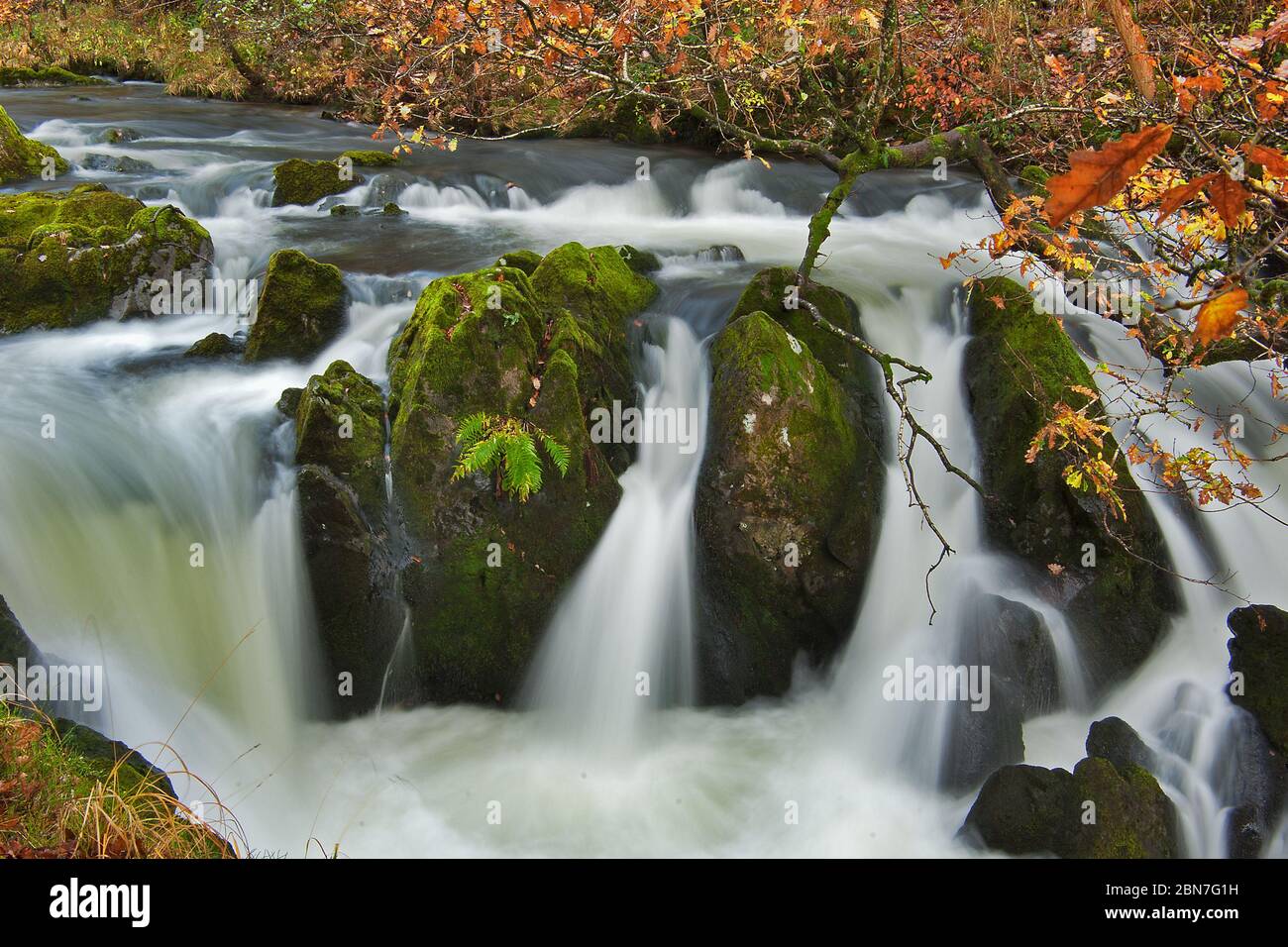 Colwith Force, Cumbria Stockfoto