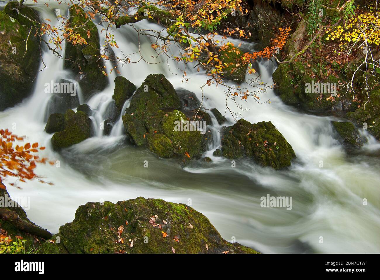 Colwith Force, Cumbria Stockfoto