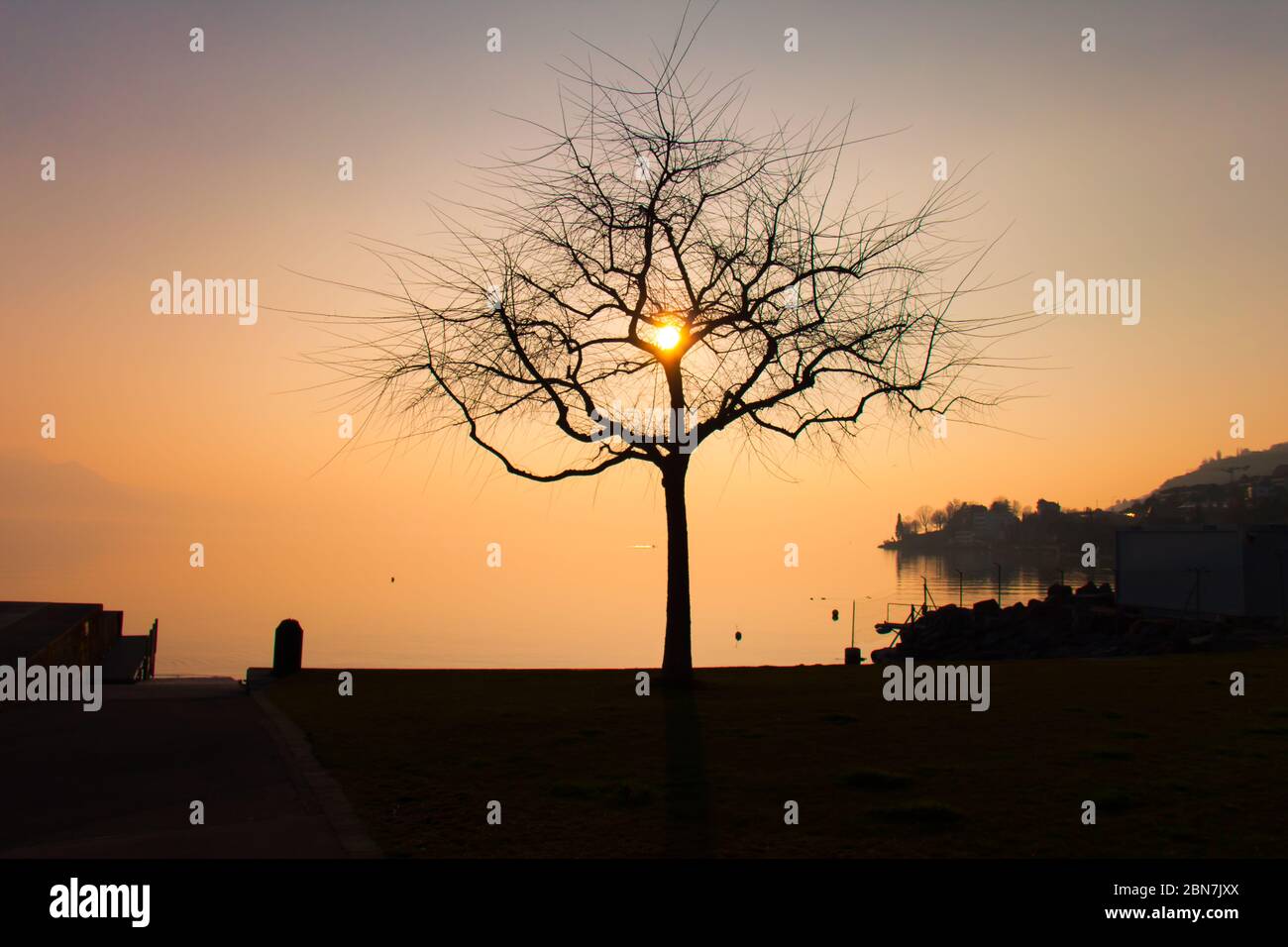 Gebrochene Herzform Baumzweige mit Sonnenuntergang in der Mitte Stockfoto