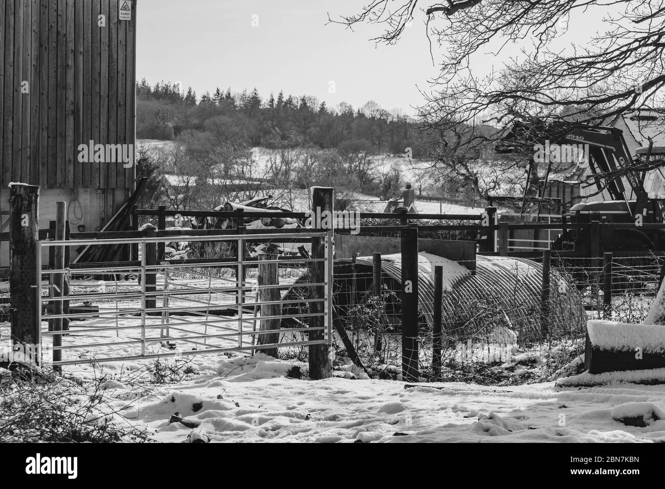 Schwarz-Weiß-Studie eines Bauernhofs in der Nähe von Fritham, Hampshire, Großbritannien, im Schnee. Stockfoto